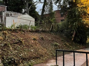 Cleanups by Kamonta Hackey for Frances W. in Washington, DC