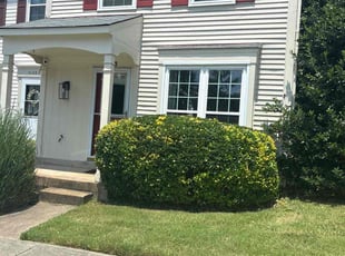 Bush Trimming by candelario castillo for Vincent M. in Alexandria, VA