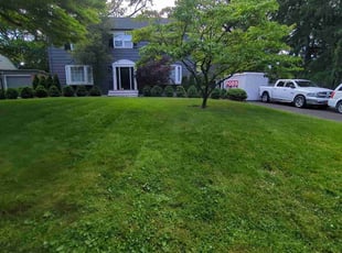 Brendan B.'s Lawn Service service result