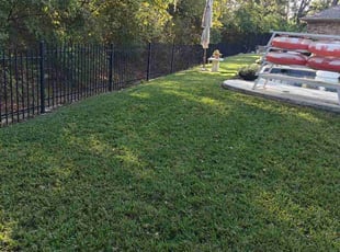 Beatrice G.'s Lawn Care service result