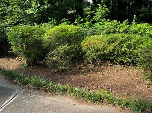 Bush Trimming by William Shattles for Bonnie K. in Marietta, GA