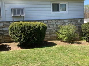 Weeding by Josue Pagan for Laura G. in Feasterville-Trevose, PA
