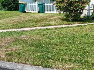 Jim P.'s Lawn Maintenance service result