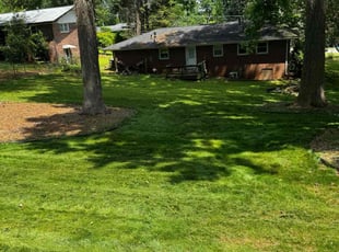 Francisco R.'s Lawn Maintenance service result
