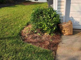 Bush Trimming by Stan Baker for bryan m. in Kennesaw, GA