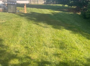 Laura G.'s Lawn Service service result