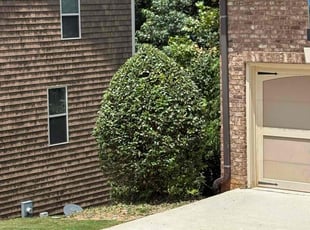 Bush Trimming by Daniel Burse for John M. in Smyrna, GA