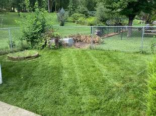 Christie B.'s Lawn Service service result