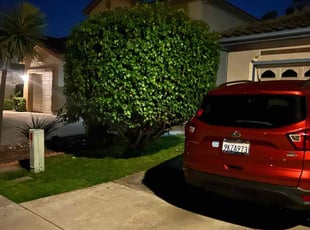 Bush Trimming by Earl Miller for Brian M. in San Diego, CA