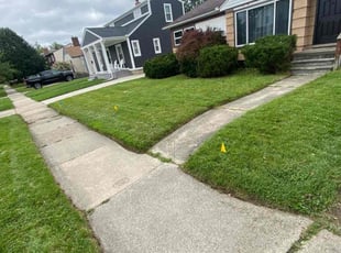 Bush Trimming by Demario Banford for Christopher J. in Berkley, MI