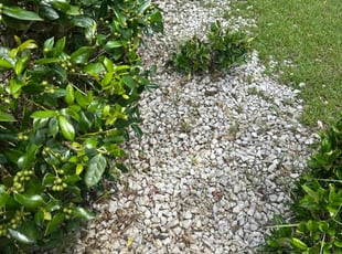 Cleanups by Travel Tull for Michael S. in West Columbia, SC