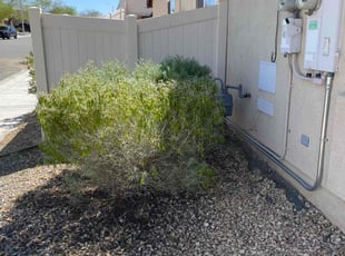 Bush Trimming by James Gonzalez for Anthony E. in Barstow, CA
