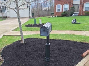 Janet G.'s Lawn Service service result