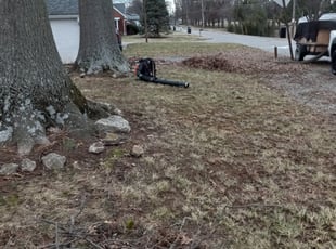 Leaf Removal by Robert Westwood for Marvin J. in Louisville, KY