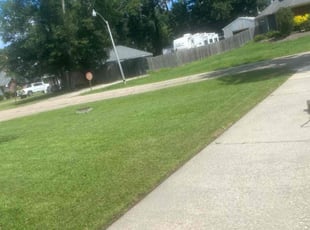 JaMilla A.'s Lawn Service service result