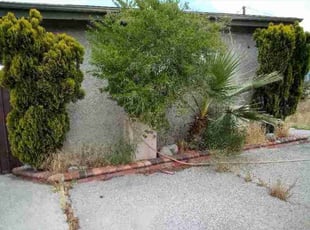 Bush Trimming by Brenden Henderson for Samuel M. in Muscoy, CA