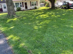 Parker S.'s Lawn Mowing Service service result