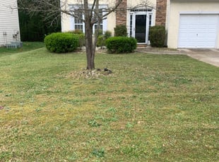 Leaf Removal by Travis Brown for Nichole J. in College Park, GA
