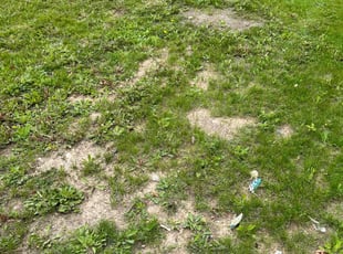 Aeration by Jevonta Johnson for Tal A. in Milwaukee, WI