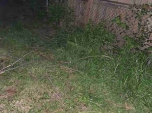 Cleanups by Dale Brooks for Nichole D. in Kansas City, MO
