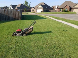 Mike R.'s Lawn Care service result