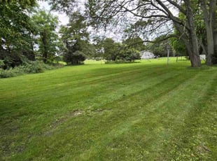 Alicia D.'s Lawn Mowing service result