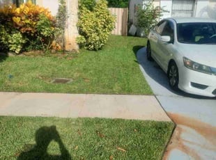 Marsha C.'s Lawn Care service result