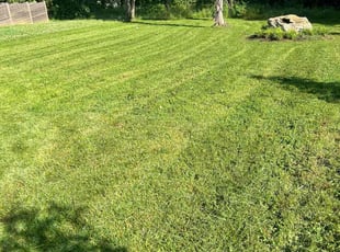 Harrison Z.'s Lawn Service service result