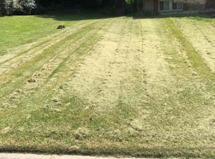 Robert P.'s Lawn Mowing Service service result