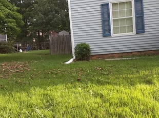 Bush Trimming by Thomas Crowell for Whitney B. in Chesterfield, VA