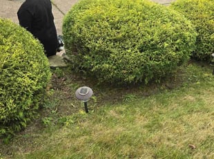 Bush Trimming by Jami Hughes for Lisa C. in Pittsburgh, PA