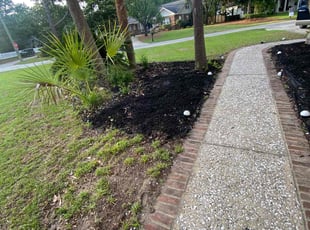 Cleanups by Tyrone Mack for Leo S. in Mount Pleasant, SC