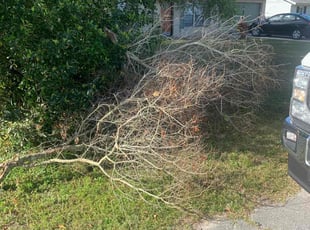 Cleanups by Mike Szpara for James m. in Deltona, FL