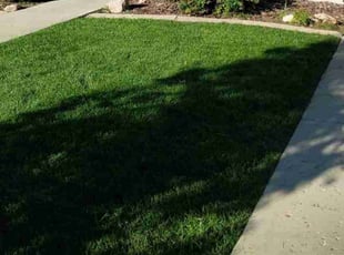Wes N.'s Grass Cutting service result