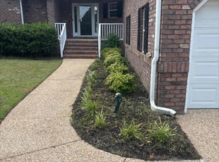 Weeding by Bryan Maximin for Brian H. in Wilmington, NC