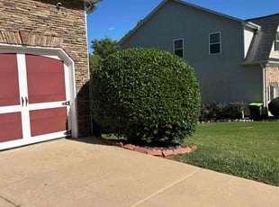 Bush Trimming by Roy Reddick for Tatiana K. in Dallas, GA