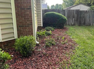 Bush Trimming by Manuel Soriano for Pia H. in High Point, NC