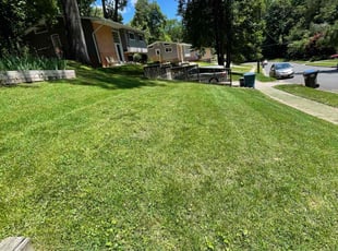 Lakeisha M.'s Lawn Maintenance service result