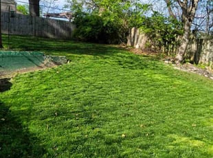 Aubrey B.'s Lawn Care service result