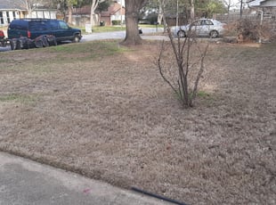 Leaf Removal by Gary Joy for Sherry P. in Hurst, TX
