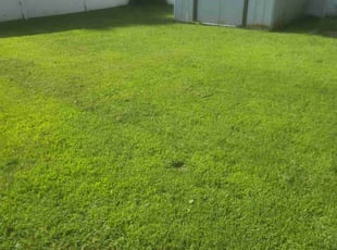 Heather G.'s Lawn Service service result