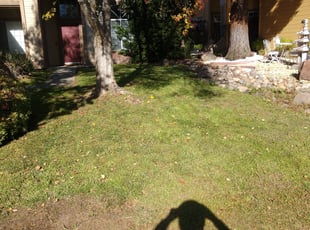 Leaf Removal by Tracy Spencer for Diwon W. in Sacramento, CA