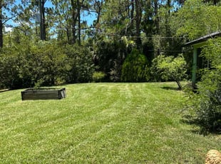 Lori T.'s Lawn Care service result