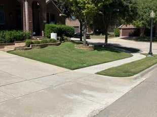 Skyler G.'s Grass Cutting service result
