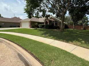 Anna F.'s Grass Cutting service result