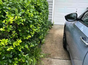 Bush Trimming by Thomas Fador for Tamara C. in Baltimore, MD