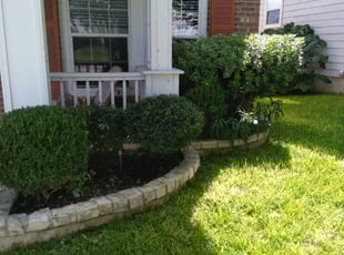 Bush Trimming by Jason Salazar for Michele C. in San Antonio, TX