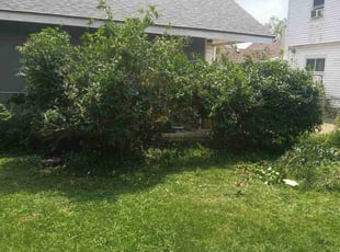 Bush Trimming by Bret Ginter for Anita J. in Fairborn, OH