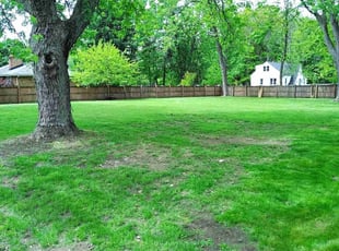 Cleanups by Dustin Edick for Muddasir A. in Buffalo, NY