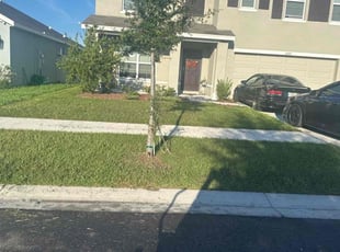 Susan C.'s Lawn Mowing service result